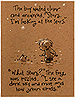 NS Card 5