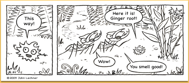 (latest comic)